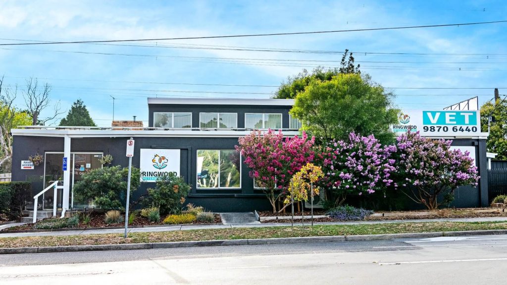 Street side Ringwood Vet Clinic