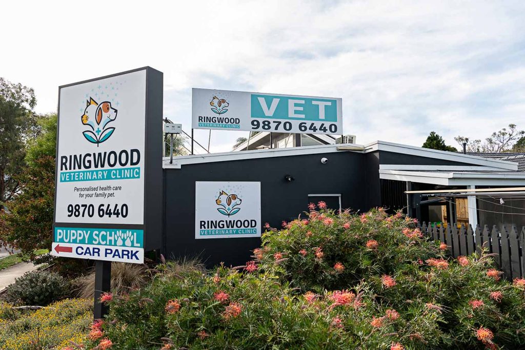 Steet view of Ringwood Vet Clinic
